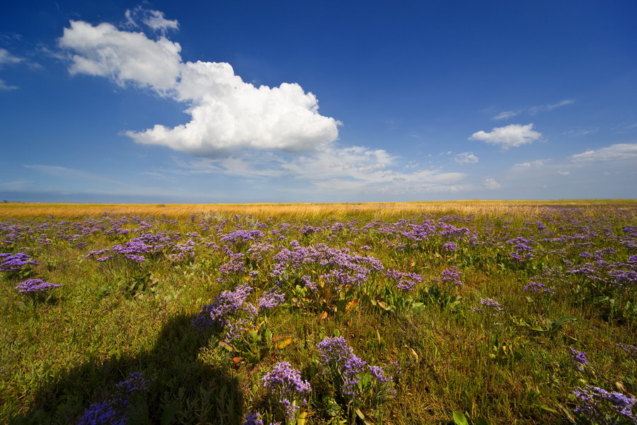 Weg zu Hooge Hörn (2).jpg